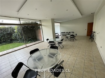 Imagen 15