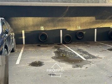 Imagen 13