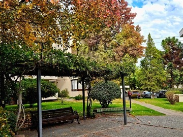 Imagen 14