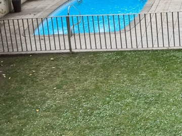 Imagen 19