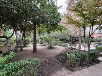 Imagen 12