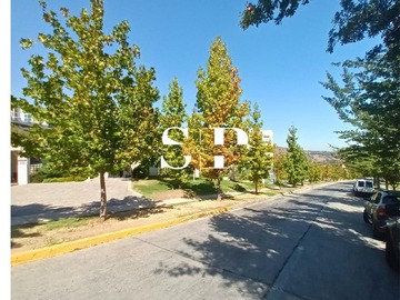 Imagen 21