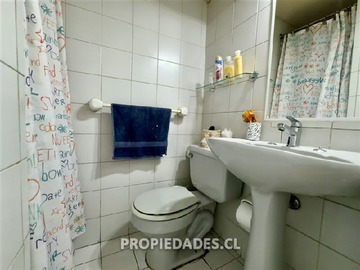 Imagen 11