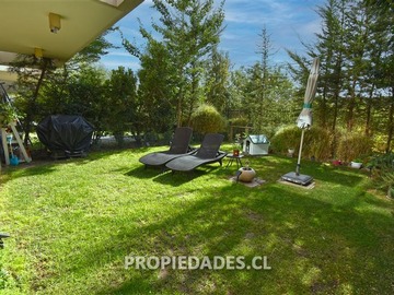 Imagen 22