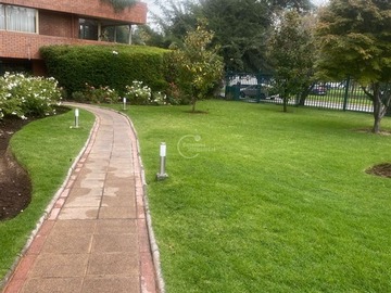 Imagen 32