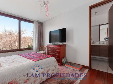 Imagen 19