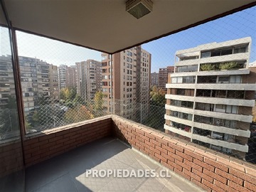 Imagen 5