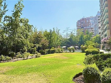Imagen 21