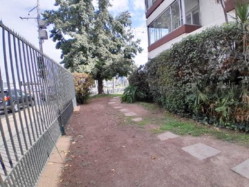 Imagen 15