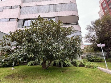Venta / Departamento / Las Condes