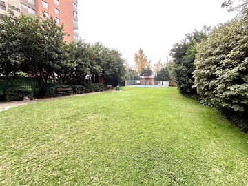 Imagen 24