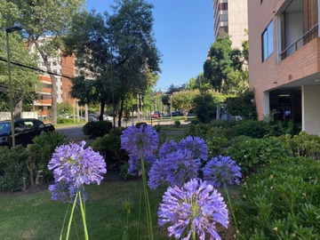 Venta / Departamento / Las Condes