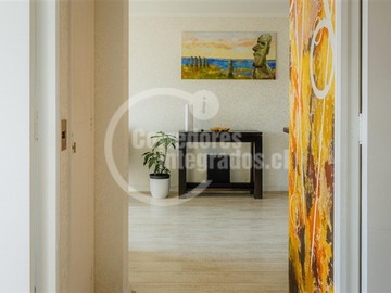 Imagen 7