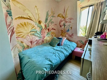 Imagen 7