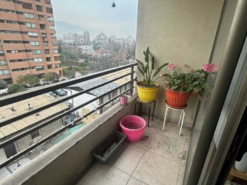 Imagen 9