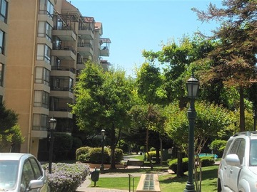 Imagen 12