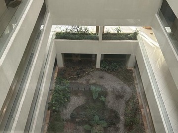 Imagen 12