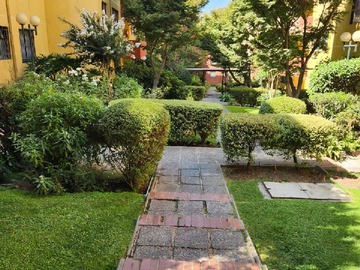 Imagen 12