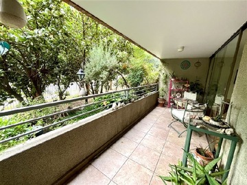 Imagen 5