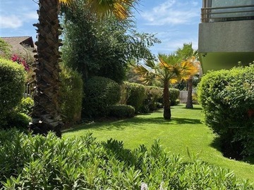 Imagen 22
