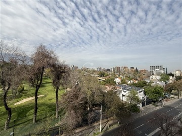 Imagen 20
