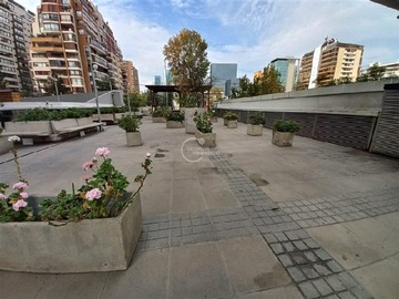 Imagen 11