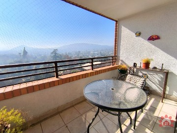 Imagen 13