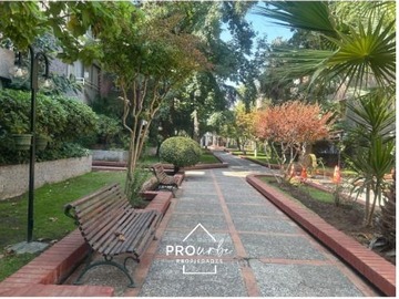 Imagen 28