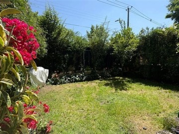 Imagen 7