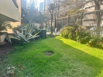 Imagen 28
