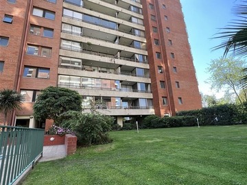 Imagen 15