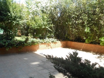 Imagen 22