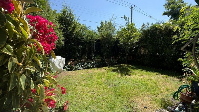 Jardin