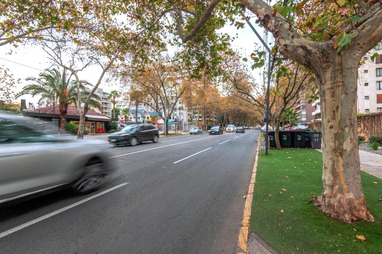 Av. C. Colón
