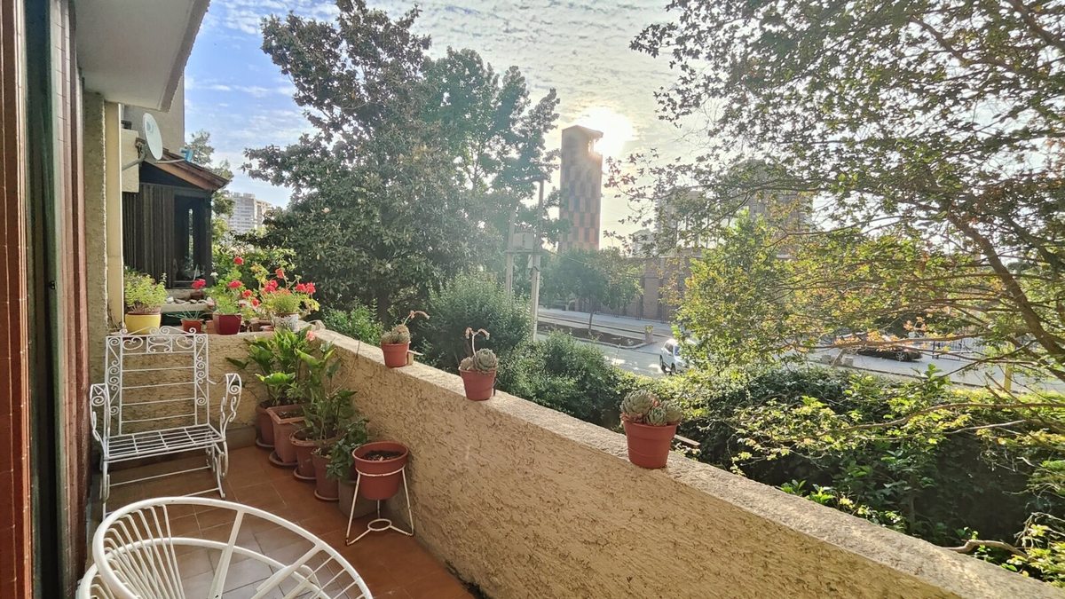 Terraza