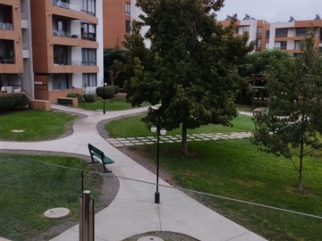 Imagen 6