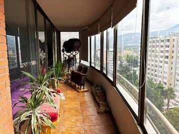 Imagen 21