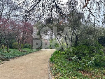 Imagen 17