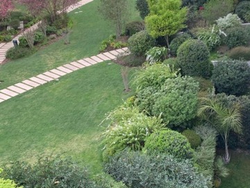 Imagen 21