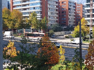 Imagen 13