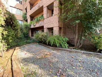 Imagen 7