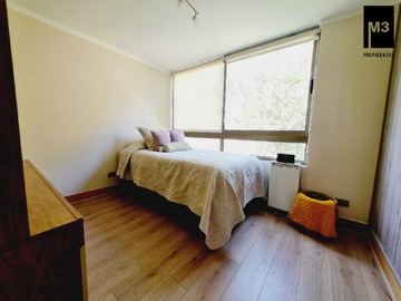 Imagen 10