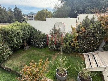 Imagen 7