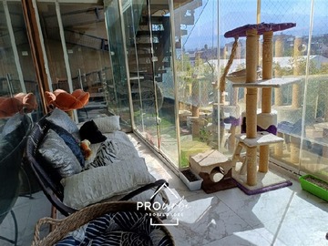 Imagen 18