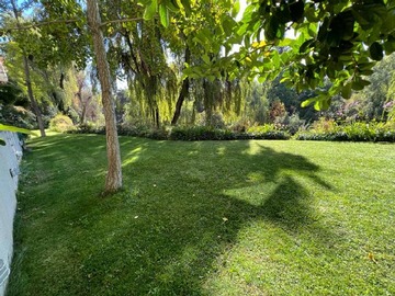 Imagen 25