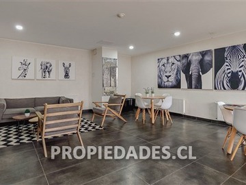 Imagen 28
