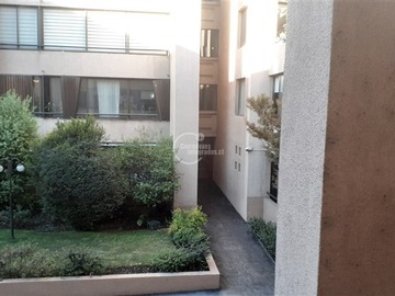 Imagen 14