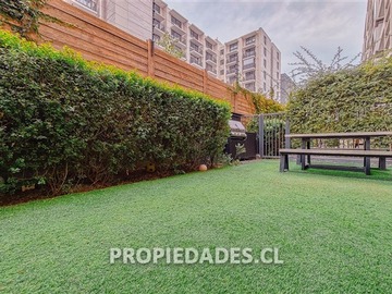 Imagen 11