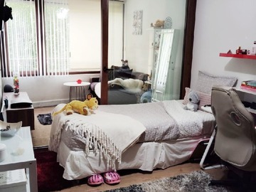 Imagen 8