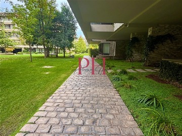 Imagen 23